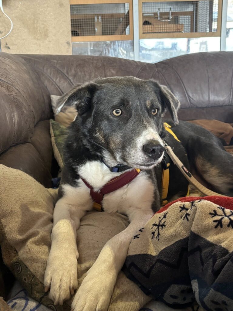 VERMITTLUNGSHILFE TOFFI...