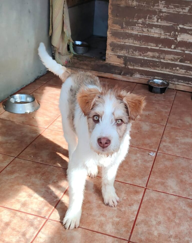 LUZIE...