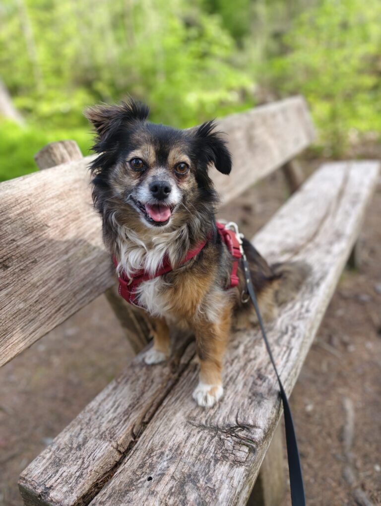 PIA...