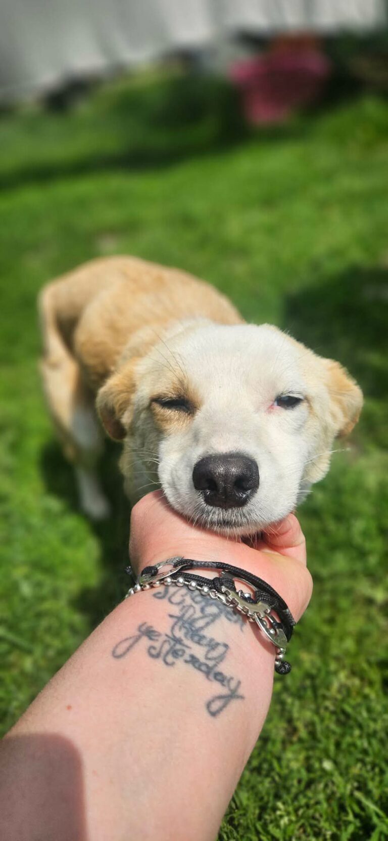 YUKI...