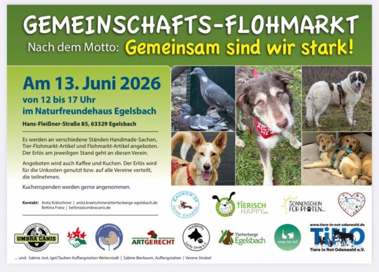 Unser toller Flohmarkt findet bald wieder statt...wer mag vo...