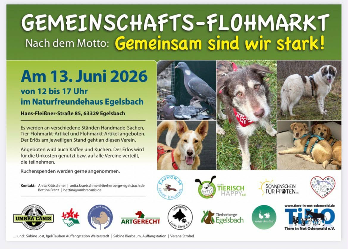 Unser toller Flohmarkt findet bald wieder statt...wer mag vo...