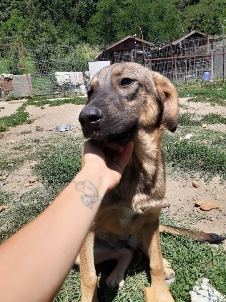 FEODORA...
