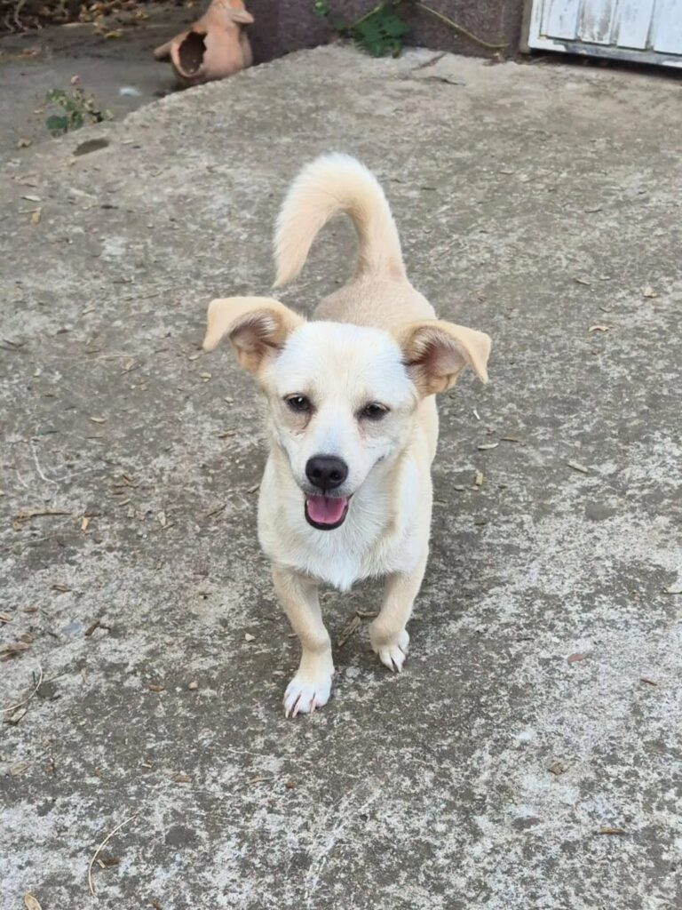 MALINA...