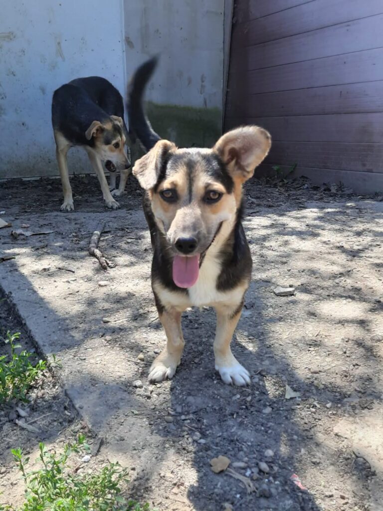 YUMA...