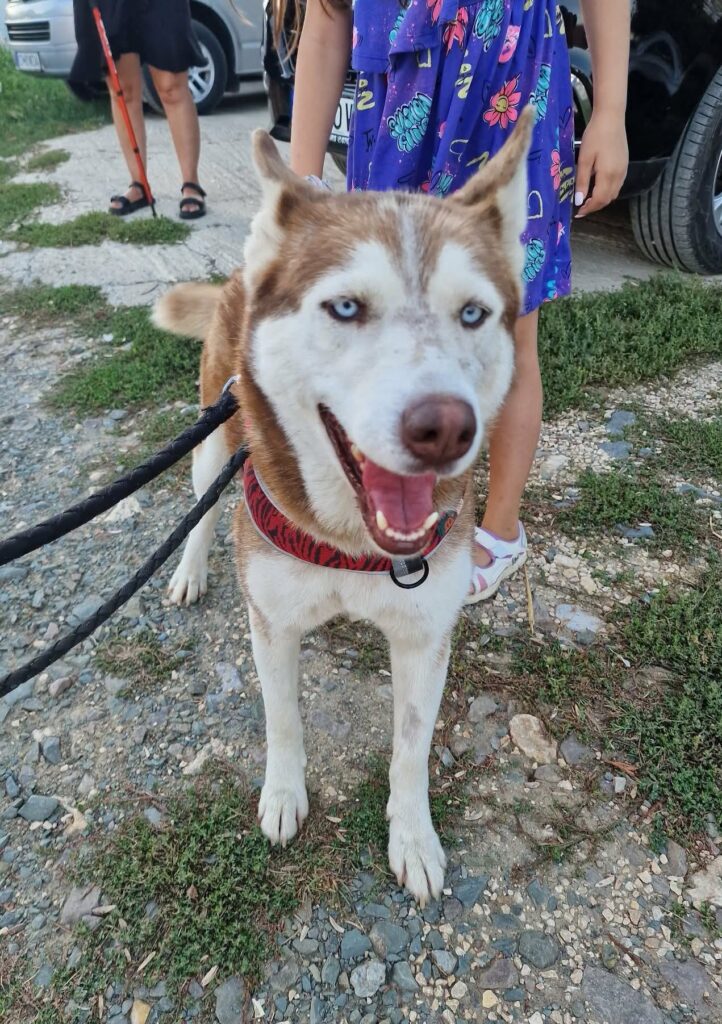NALA...