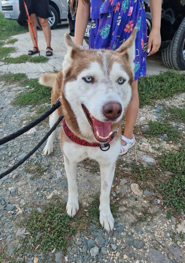 NALA...