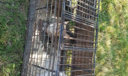 352375692_843040213918932_1262515486325385062_n